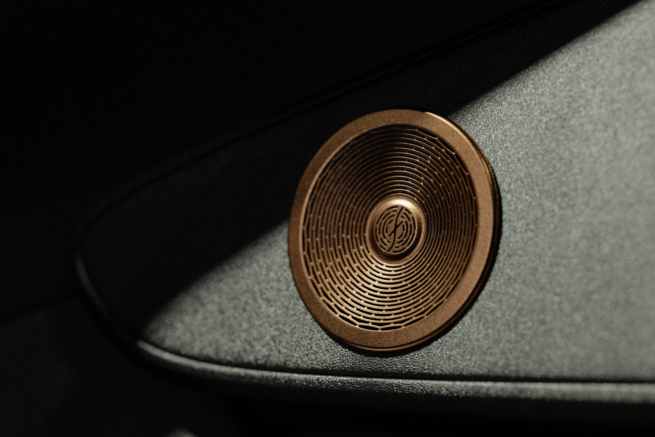 Silver speaker grille in a dark vehicle door